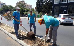 Yeni Prestij Caddesi zakkumlarla renkleniyor I FOTO GALERİ