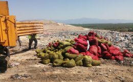 4 ton kaçak midye ele geçirildi I VİDEO HABER