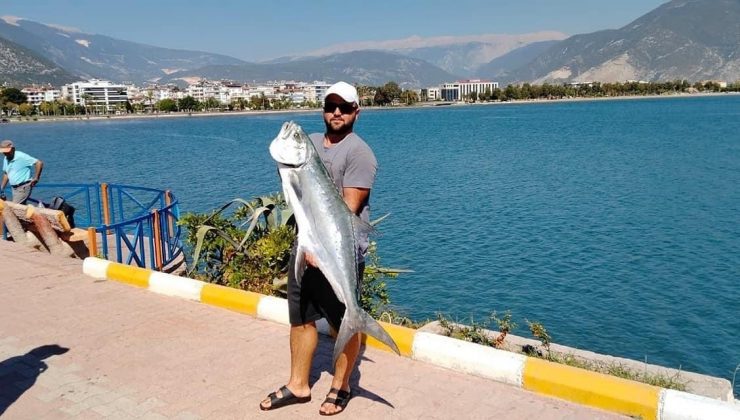 Kıyıdan 15 kiloluk liça balığı avladı