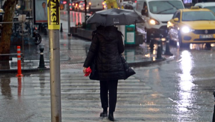 Kent merkezine dolu yağdı rüzgara dayanamayan ağaç yola devrildi