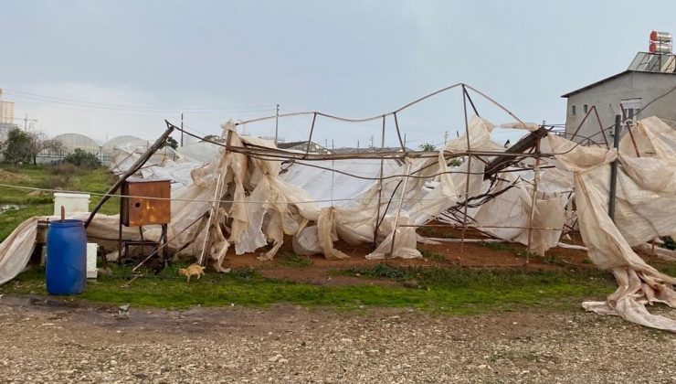 Hortum onlarca seraya zarar verdi