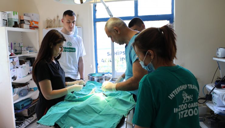 Makedon öğrenciler Antalya Hayvanat Bahçesi’nde eğitim alıyor