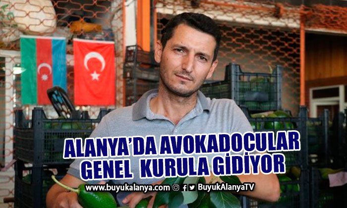 Avokadocular genel kurula gidiyor