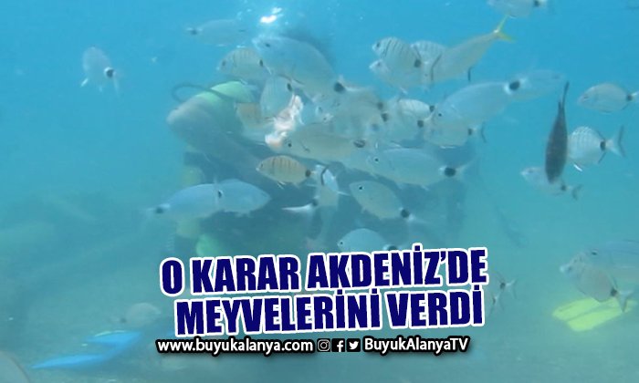 Av yasağı kararı Akdeniz’de meyvelerini verdi