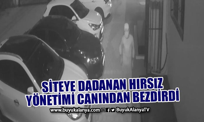 Siteye dadanan hırsız yönetimi canından bezdirdi