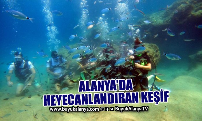 Alanya’da su altı dünyasını keşfediyorlar