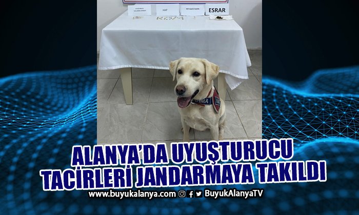 Alanya’da jandarmanın durdurduğu araçta uyuşturucu madde ele geçirildi