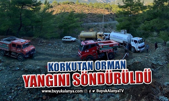 Orman yangını büyümeden söndürüldü