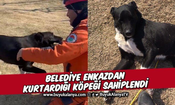 8 katlı binanın enkazından bir köpek sağ olarak çıkartıldı