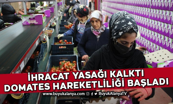 Yasağın kaldırılması çiftçileri ve tüccarları mutlu etti