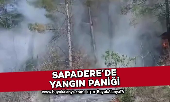 Sapadere’de korkutan yangın I VİDEO HABER