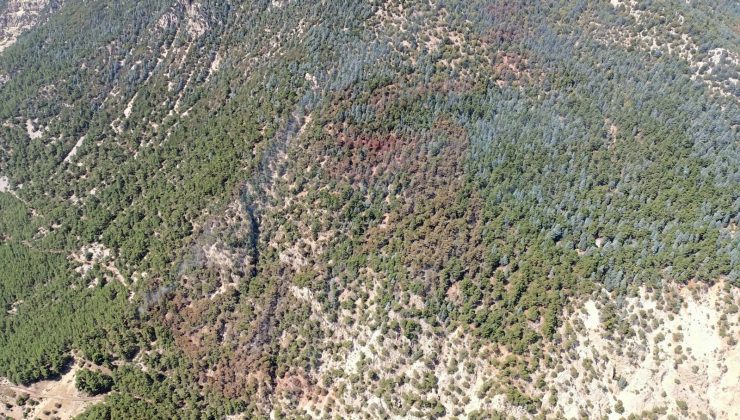 Kumluca’daki yangında 15 hektar ormanlık alan zarar GÖRDÜ