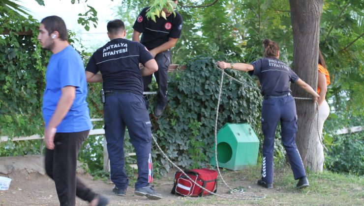 Paraşüt ağaçta ASILI KALDI ekipler alarma geçti