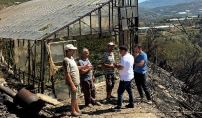 Alanya kırsalındaki TARIM ALANLARINDA bir garip yangın