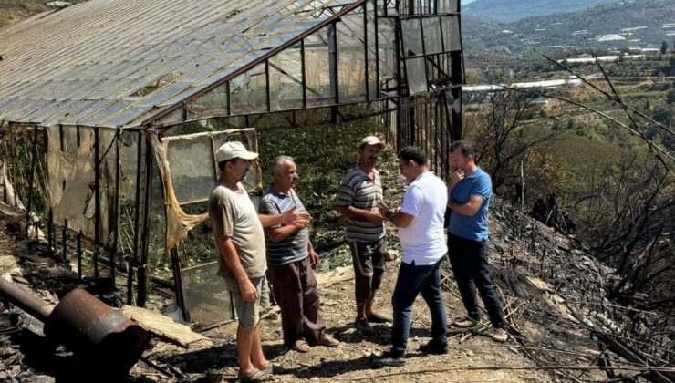 Alanya kırsalındaki TARIM ALANLARINDA bir garip yangın