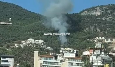 Alanya Bektaş’ta ORMAN YANGINI korkuttu