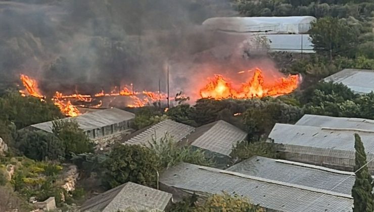 Alanya’da çalılık alanda çıkan YANGIN söndürüldü