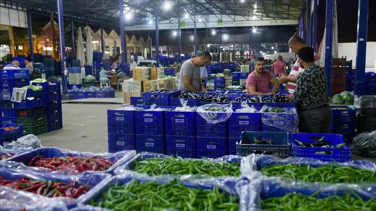 Alanya Hali’nde YENİ UYGULAMA başlıyor