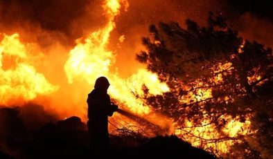 Alanya Dim Vadisi’nde ORMAN yangını