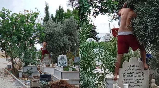 Alanya’da MEZARLIKTA bu saygısızlığa sert tepki