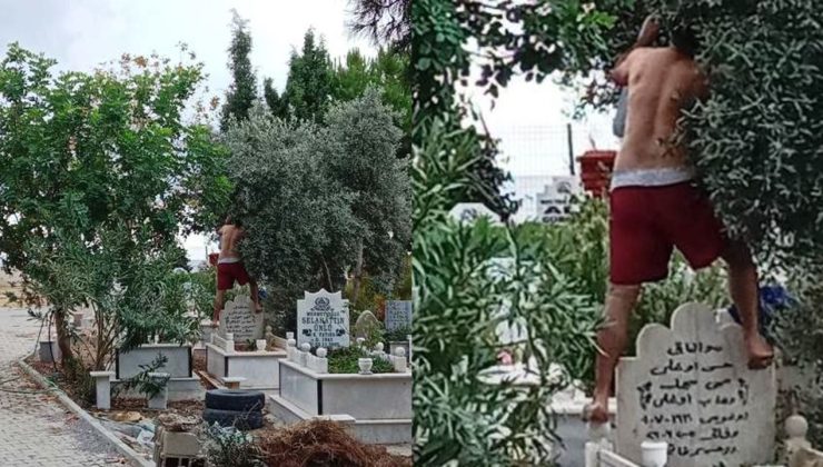 Alanya’da MEZARLIKTA bu saygısızlığa sert tepki