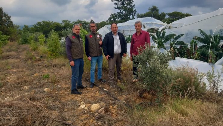 Alanya’da hasar gören TARIM alanlarında inceleme