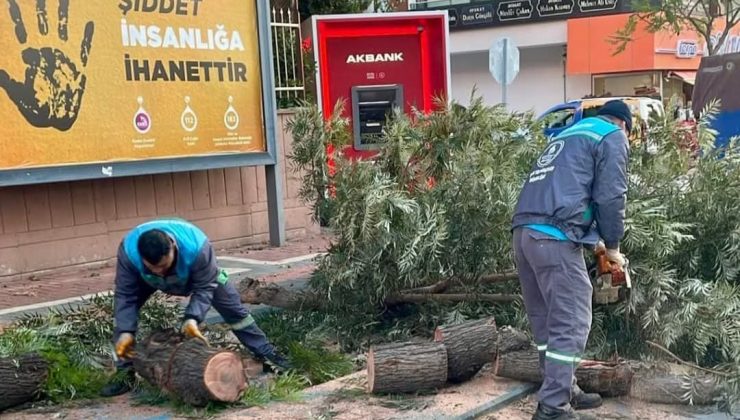 Alanya Belediyesi Afet İşleri 7/24 SAHADA