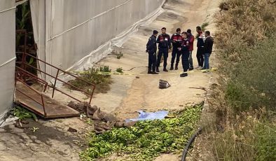 Alanya’da muz serasındaki iş kazasına 2 TUTUKLAMA