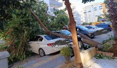 Alanya’da araç park ederken İKİ KERE düşünün