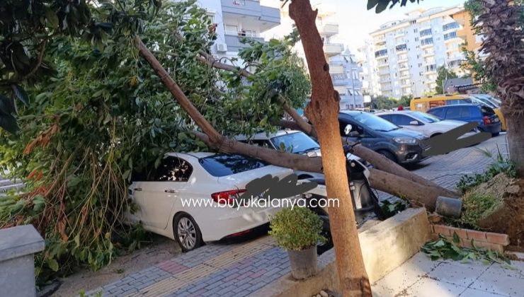 Alanya’da araç park ederken İKİ KERE düşünün