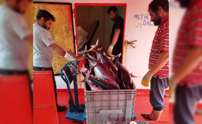 Alanya’da balıkçılar denetlendi