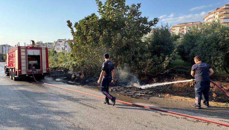 Alanya’da OTLUK ALANDA yangın paniği