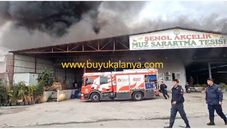 Alanya’da o tesis alev alev yanıyor VİDEO HABER