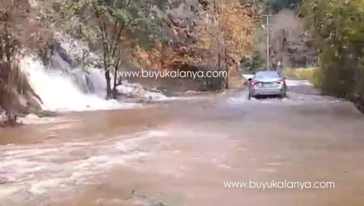 Alanya’da muhtar isyan etti VİDEO HABER