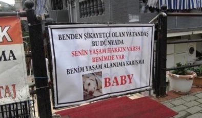 Alanya’da vatandaş köpeğini PANKARTLA konuşturdu