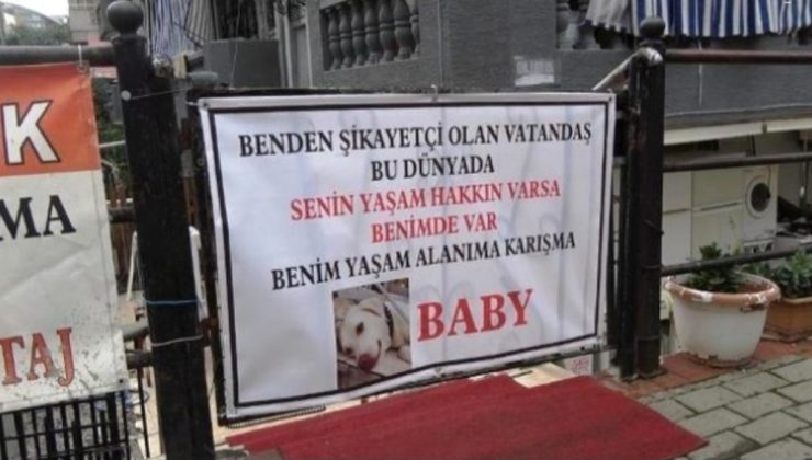 Alanya’da vatandaş köpeğini PANKARTLA konuşturdu