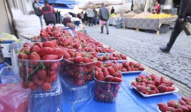 Alanya’da Hal’in fiyat şampiyonu GAZİPAŞA ÇİLEĞİ