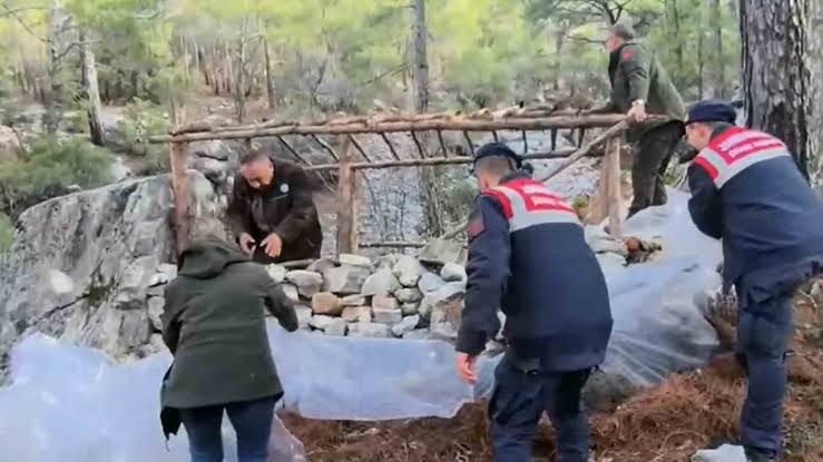 Alanya’da ormanları işgal edenlere YAKIN MARKAJ